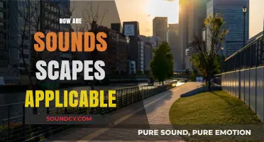 Exploring Soundscapes: Applications in Urban Planning, Health, and Environmental Design