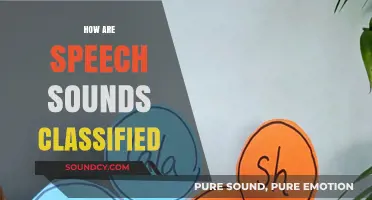 Understanding Phonetics: How Speech Sounds Are Classified and Categorized