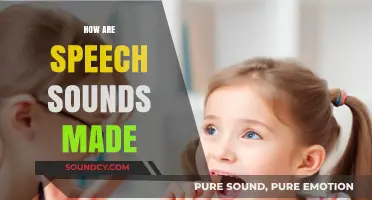 Understanding Speech Production: How Sounds Are Created in the Human Body