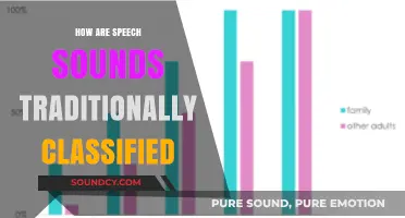 Speech Sounds: Traditional Classification Methods Explained