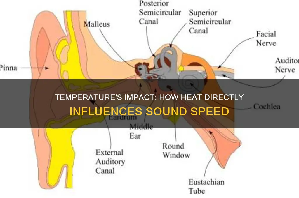 how are spped of sound and temperature directly related