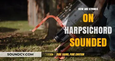 Harpsichord Strings: How Do They Work?
