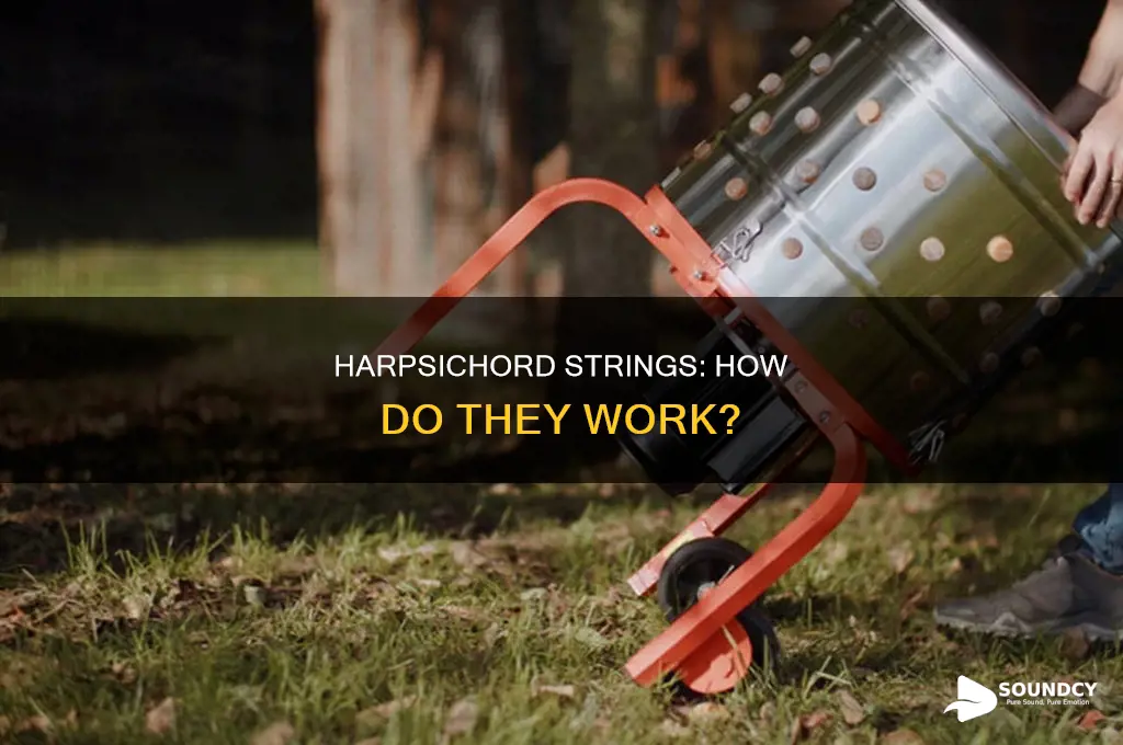 how are strings on harpsichord sounded