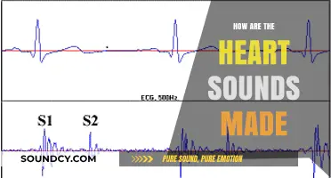 The Musical Heart: Understanding Heart Sounds
