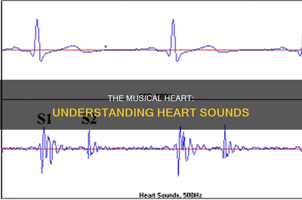 how are the heart sounds made