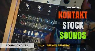 Kontakt Stock Sounds: Pros, Cons, and Verdict