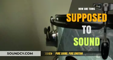 The Sound of Toms: What You Need to Know