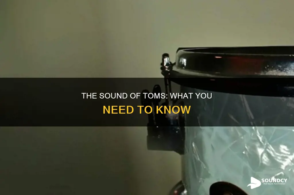 how are toms supposed to sound