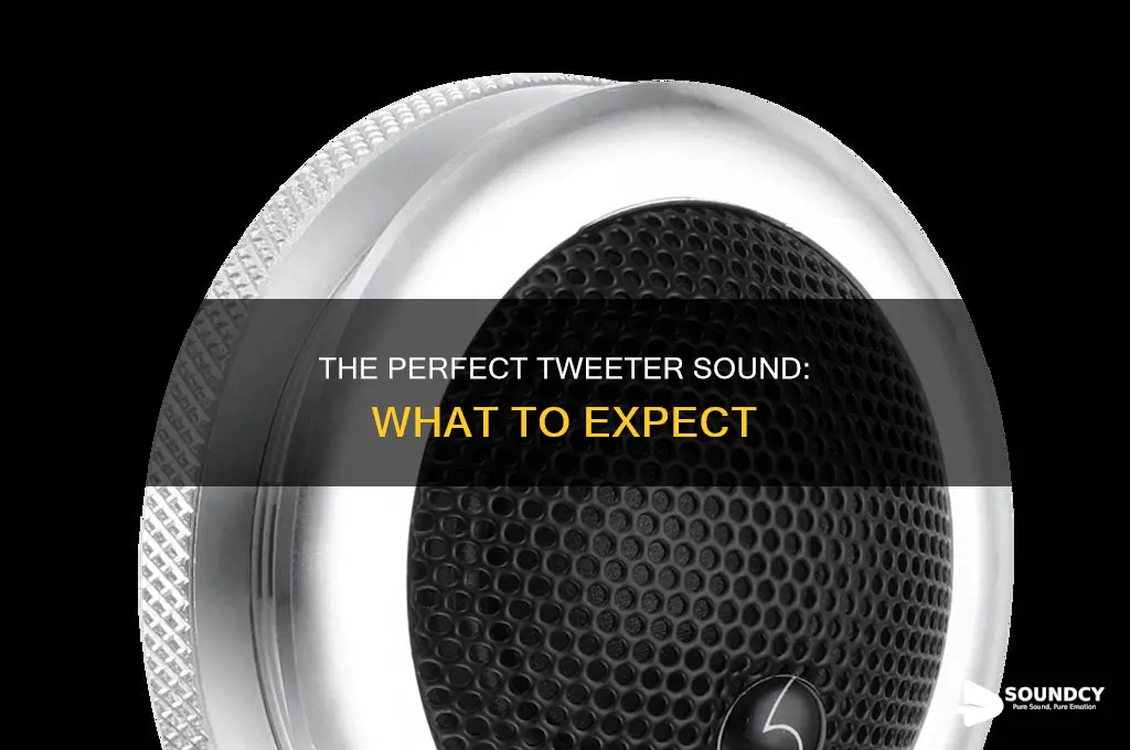 how are tweeters supposed to sound