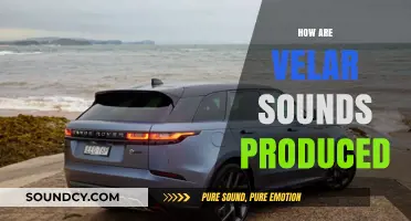 Understanding Velar Sounds: Production Techniques and Articulatory Mechanics