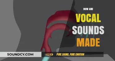 Unveiling the Science Behind How Vocal Sounds Are Produced