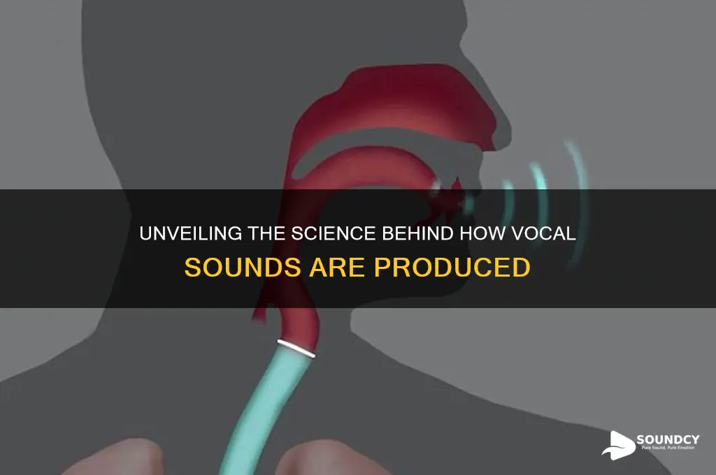 how are vocal sounds made
