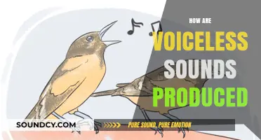 Understanding Voiceless Sounds: Production Techniques and Articulatory Mechanics