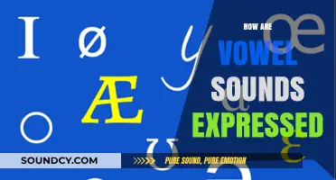Exploring the Art of Vowel Sounds: Expression, Techniques, and Linguistic Nuances