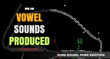 Understanding Vowel Production: How Tongue, Lips, and Jaw Create Distinct Sounds
