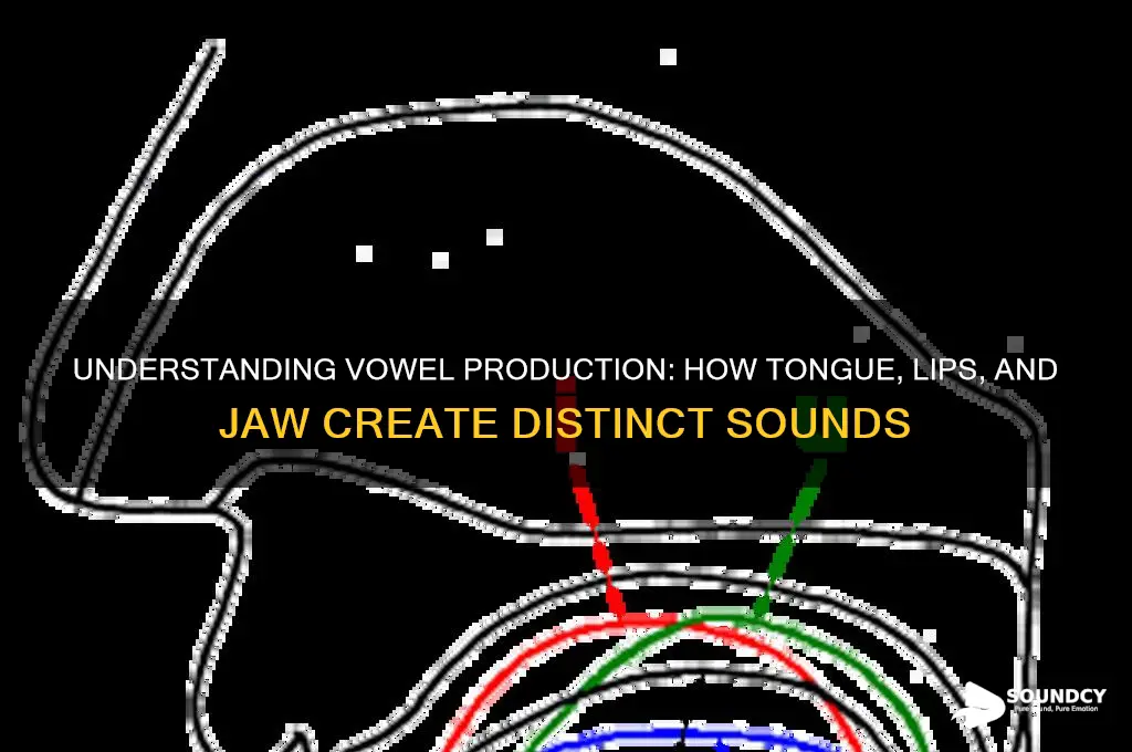 how are vowel sounds produced