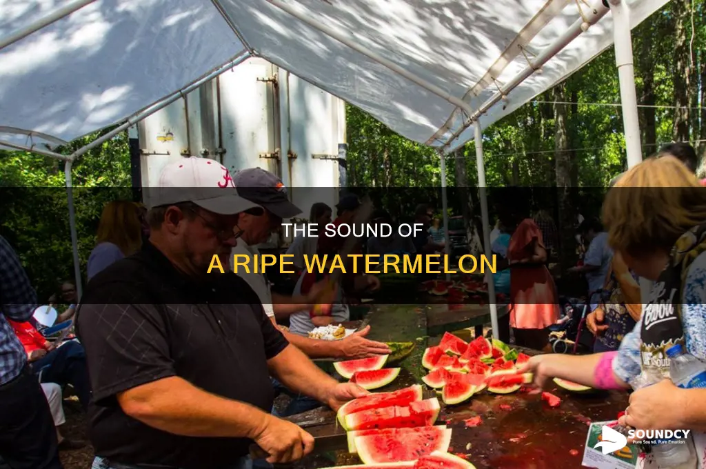 how are watermelons supposed to sound