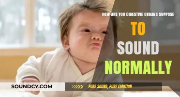 Understanding Normal Digestive Sounds: What Your Organs Should Sound Like