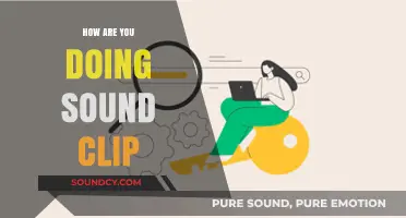 The Ubiquitous Sound Clip: How Are You Doing?