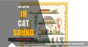 Meow-nificent Ways to Ask "How Are You?