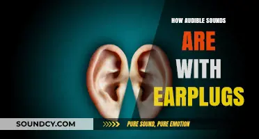 Earplugs: How Much Can You Hear?
