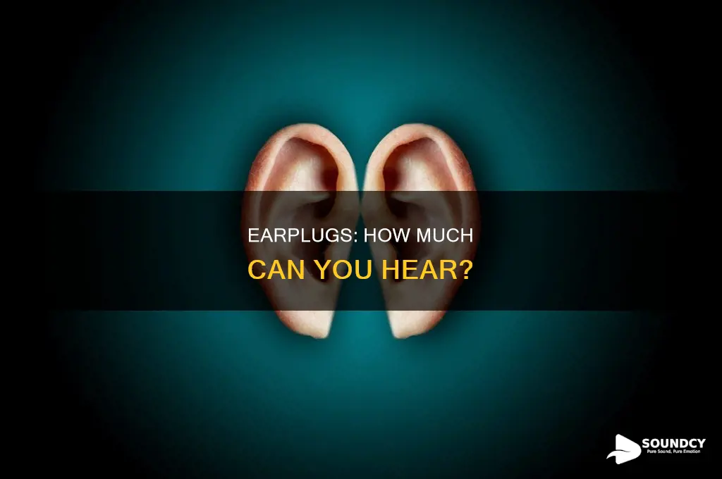 how audible sounds are with earplugs