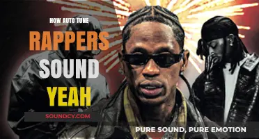 Auto-Tune Rappers: The Good, the Bad, and the Ugly