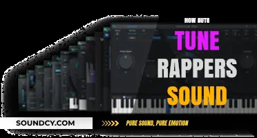 Auto-Tune's Impact: How Modern Rappers Shape Their Signature Sound