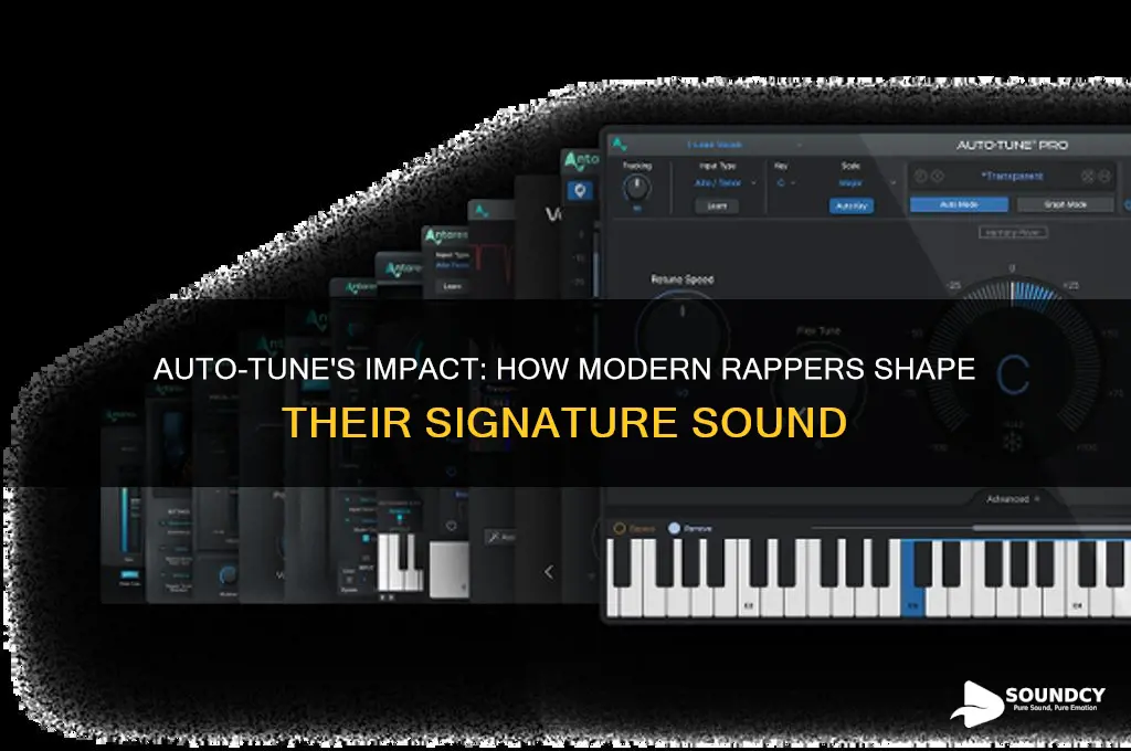 how auto tune rappers sound
