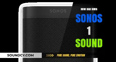 Sonos One: A Poor Audio Experience?