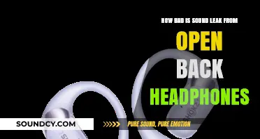 Open-Back Headphones: Sound Leakage Concerns and Real-World Impact