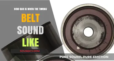 Timing Belt Noise: How Serious Is That Squealing or Grinding Sound?