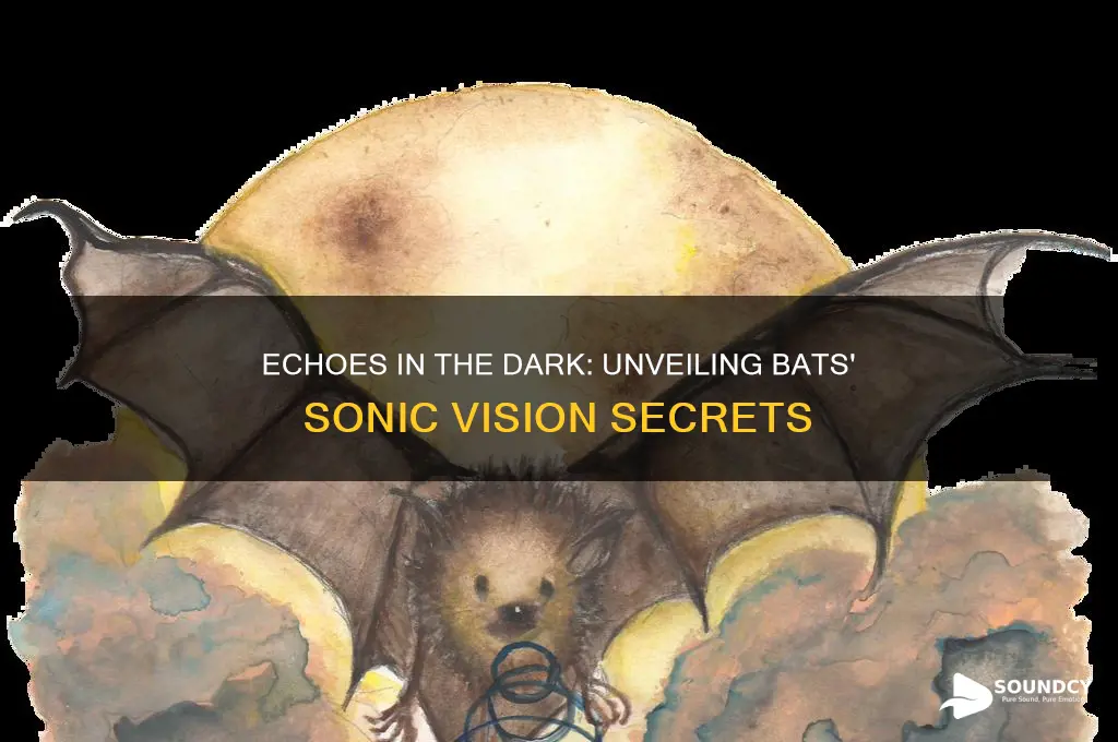 how bats see with sound
