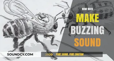 The Science Behind Bee Buzzing: How They Create Their Signature Sound