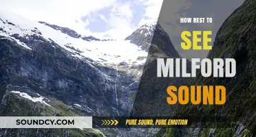 Exploring Milford Sound: Best Ways to Experience the Beauty