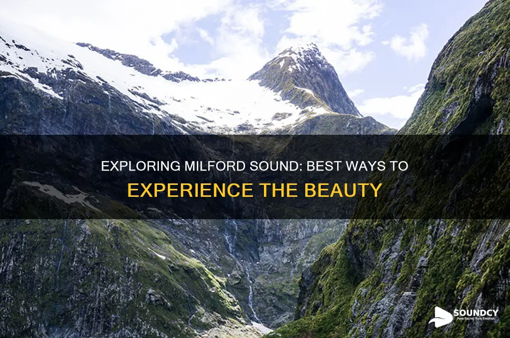 how best to see milford sound