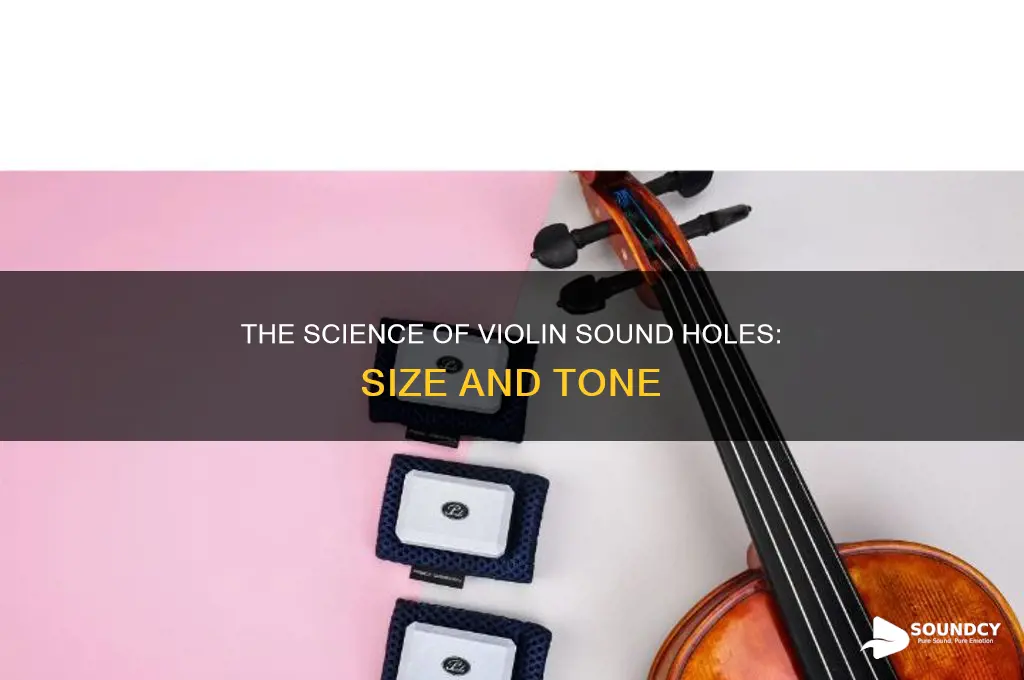 how big are violin sound holes