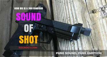 The Decibel Impact: Unveiling the Loudness of a .380 Handgun Shot