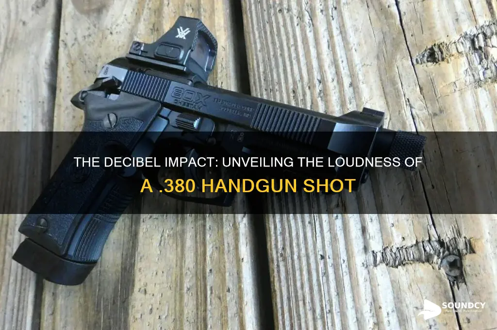 how big is a 380 handgun sound of shot