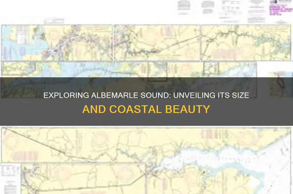 how big is albemarle sound