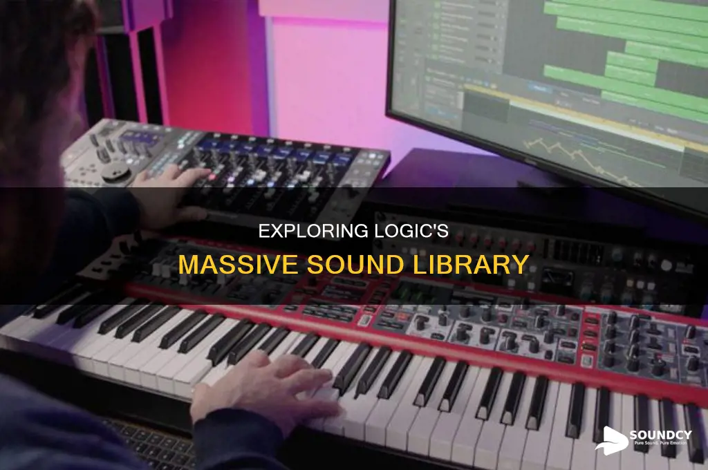 how big is logic sound library