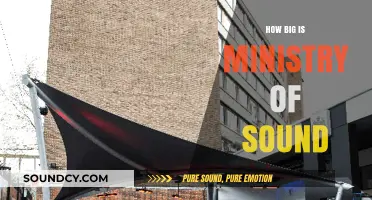 The Ministry of Sound's Massive Impact