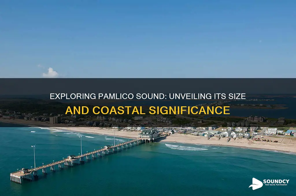 how big is pamlico sound