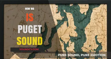 Exploring Puget Sound's Size: A Comprehensive Guide to Its Dimensions