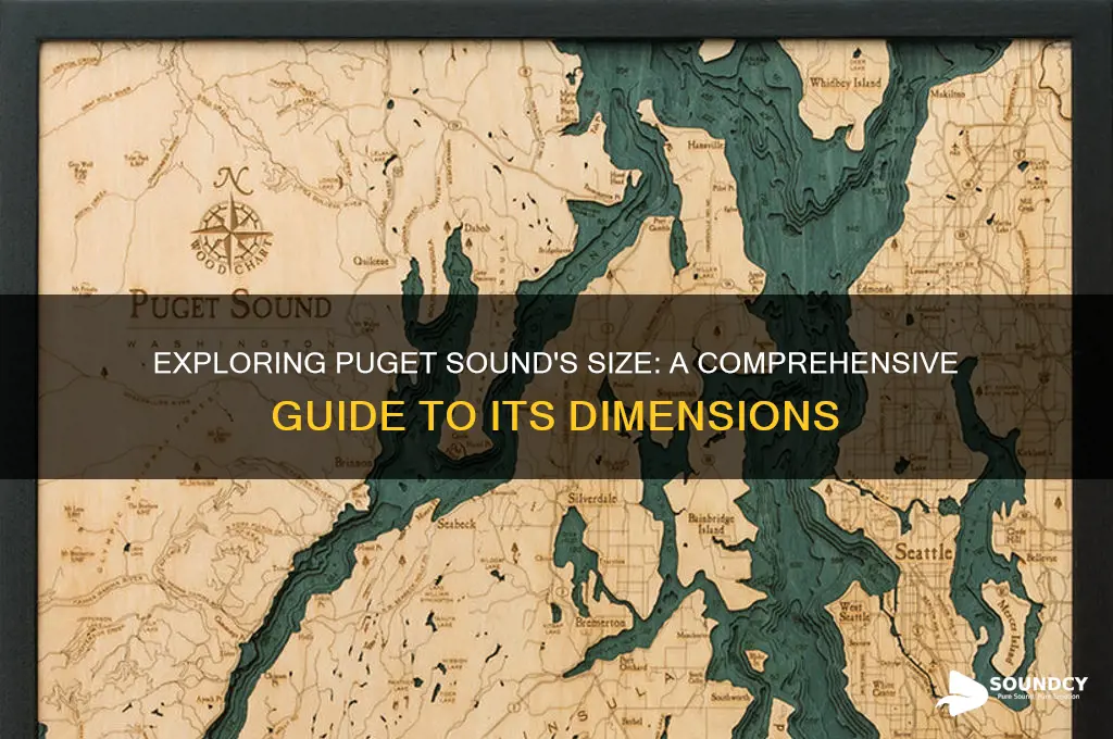 how big is puget sound