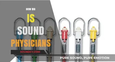Exploring Sound Physicians' Scale: Size, Reach, and Impact in Healthcare