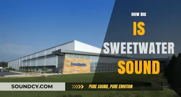 Exploring Sweetwater Sound's Massive Size and Impact on Music Gear