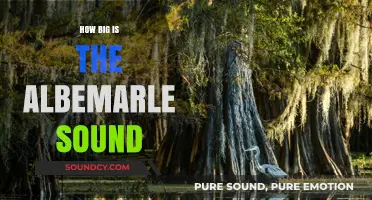 Exploring the Expansive Albemarle Sound
