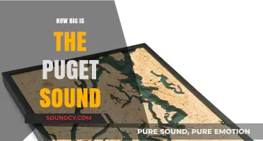 The Enormous Puget Sound: A Vast Waterway