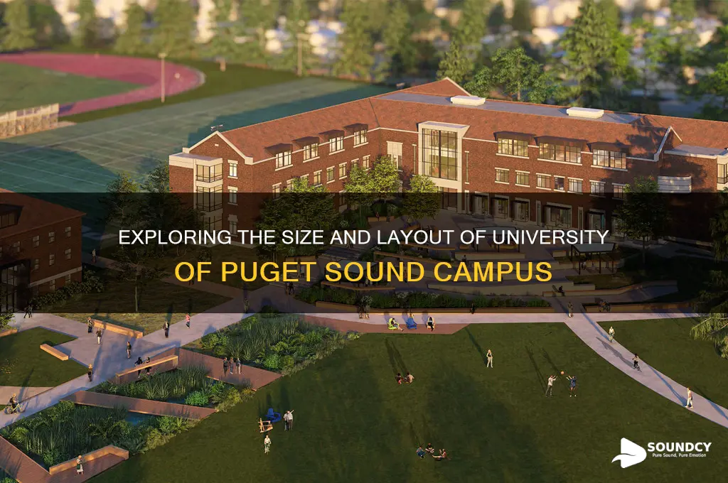 how big is the university of puget sound campus